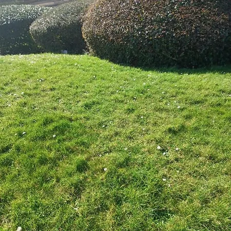 Bleu D'arques Lumineux Et Calme Lägenhet
